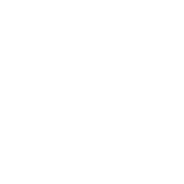 Caju Brasil